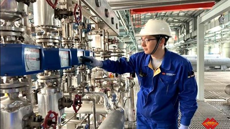 冷凝器定制，从选型到验收：流程解析与关键要点**